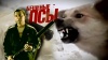 Пусть говорят - Бешеные псы